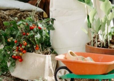 Aux Enfants la Ville