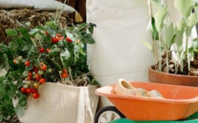 Aux Enfants la Ville