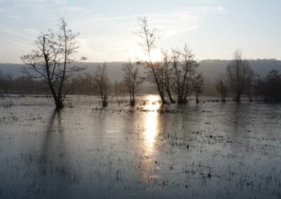 Courtils de bouquelon