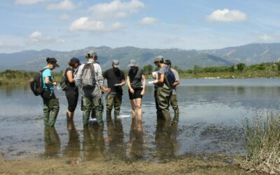 Fondation Tour du Valat