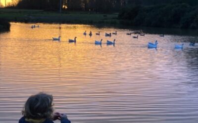 Fonds de dotation Bertrand Gonnord