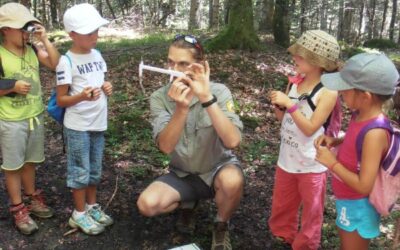 Pays de l&rsquo;Ours Adet