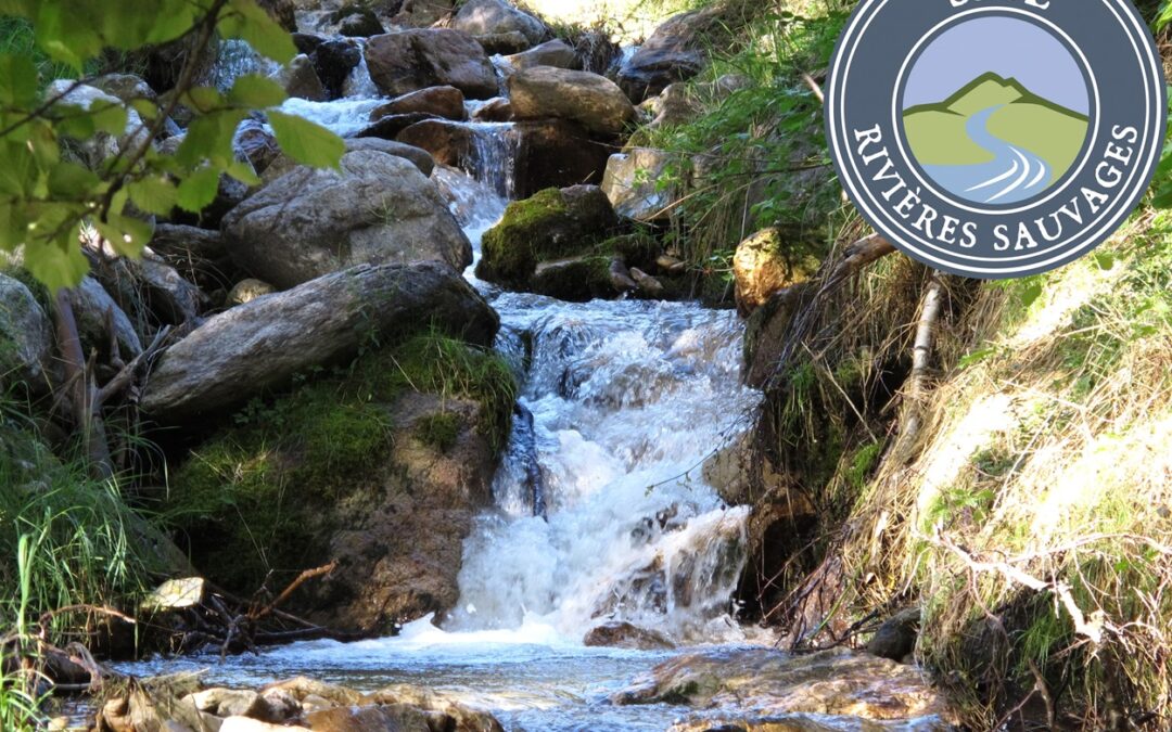 Association du Réseau des Rivières Sauvages