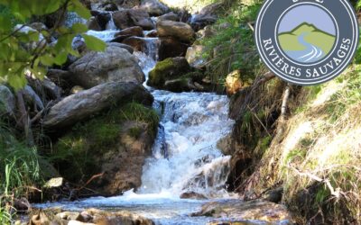 Association du Réseau des Rivières Sauvages