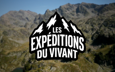 Nemeton – Biolab Café