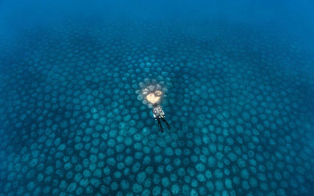 L&rsquo;oeil d&rsquo;Andromède