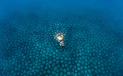 L&rsquo;oeil d&rsquo;Andromède