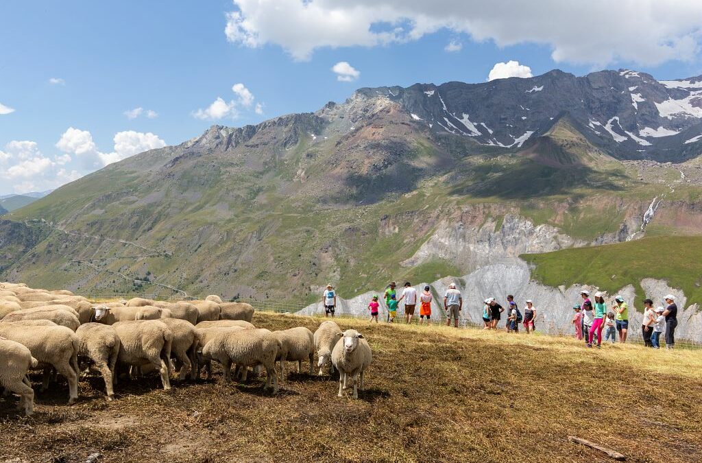 Comité Départemental du Sport en Milieu Rural 04-05 / CDSMR Alpes du Sud