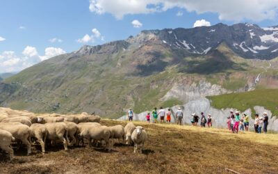 Comité Départemental du Sport en Milieu Rural 04-05 / CDSMR Alpes du Sud