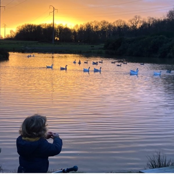 Le Parc de la Brosse
